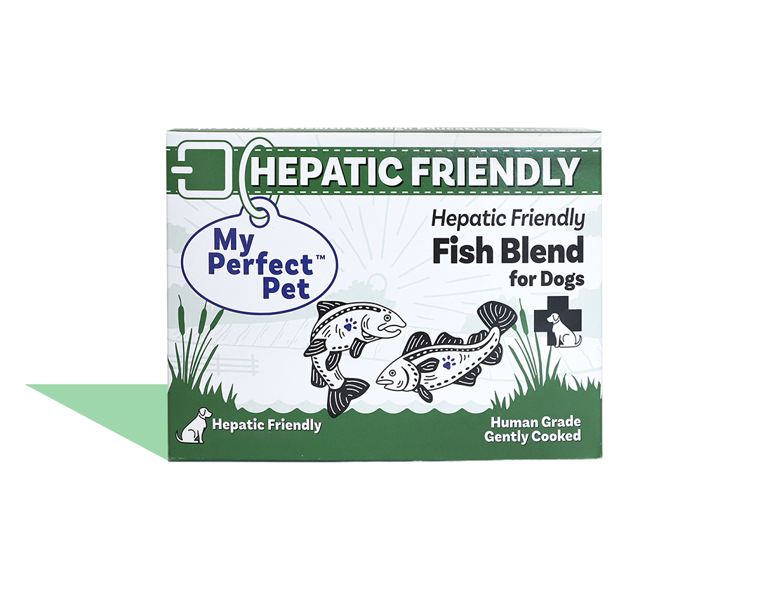 
              Friendly Fish Blend
            