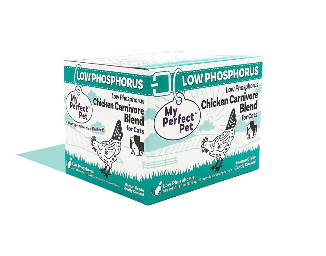 Cat low phosphorus hotsell