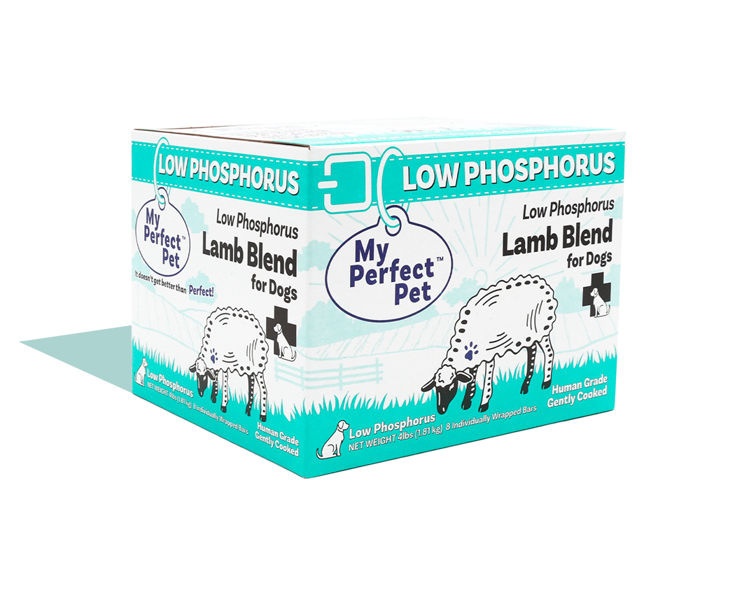 Low phosphorus dog best sale